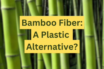 Is Bamboo Fiber the Best Plastic Alternative?